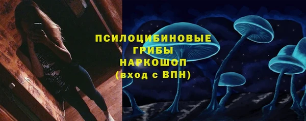 сатива Нефтегорск