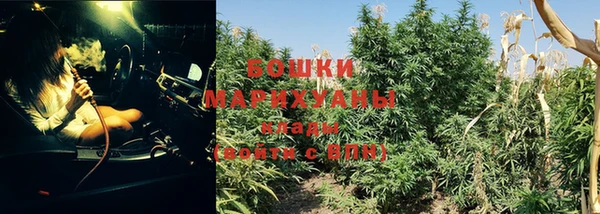 марихуана Новокубанск