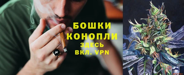 спиды Новозыбков